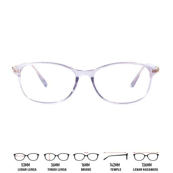 NY4002C19